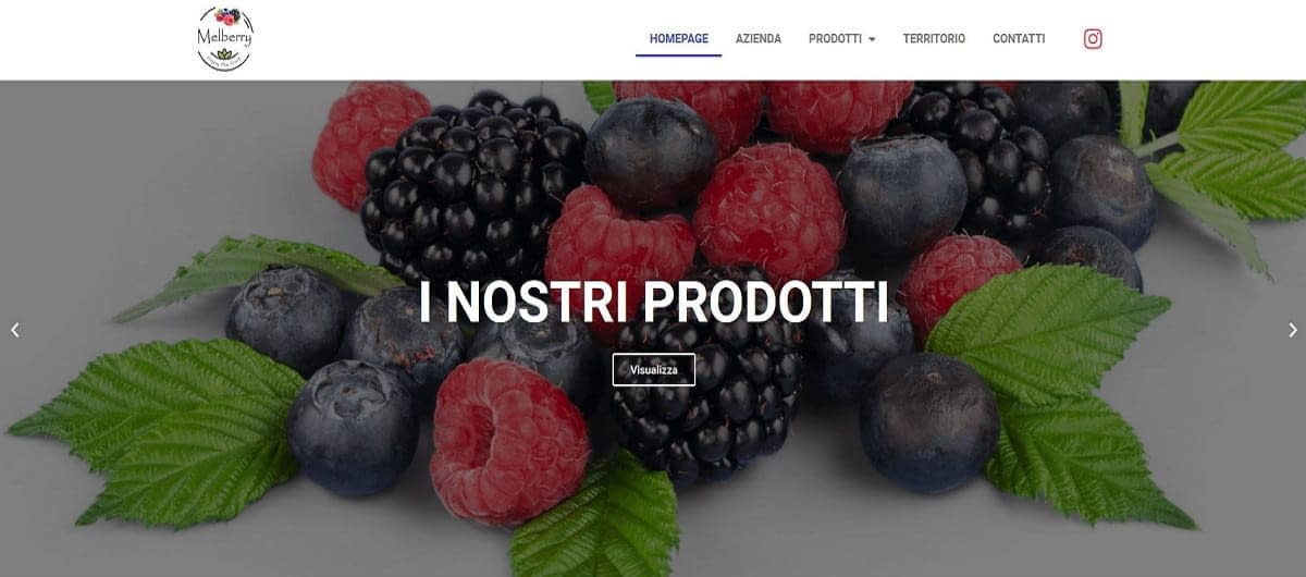 Melberry Realizzazione sito web per coltivatori by Idra Siti Web